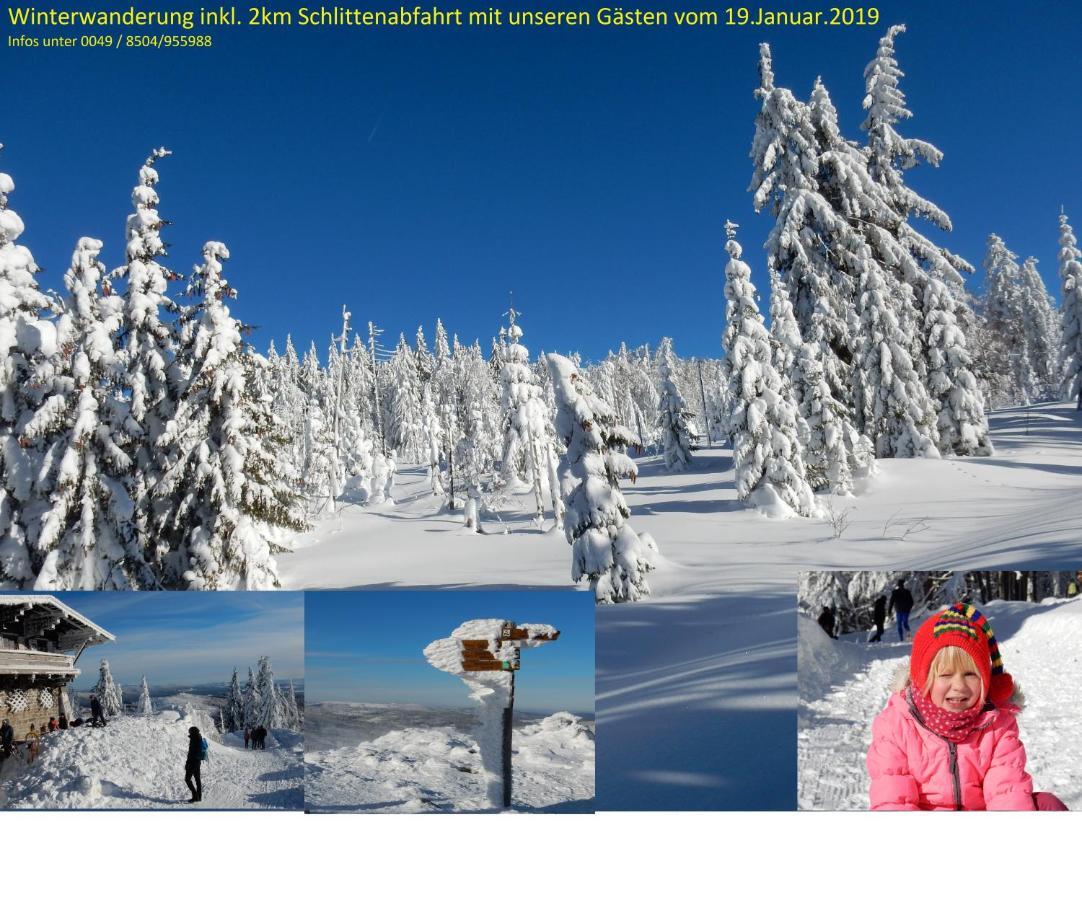 Ferienwohnung Fernblick Neukirchen vorm Wald Exterior foto